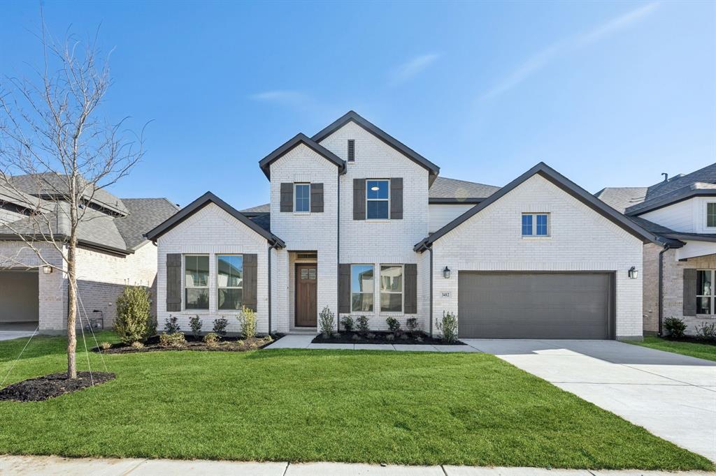 Painted Tree - Residential