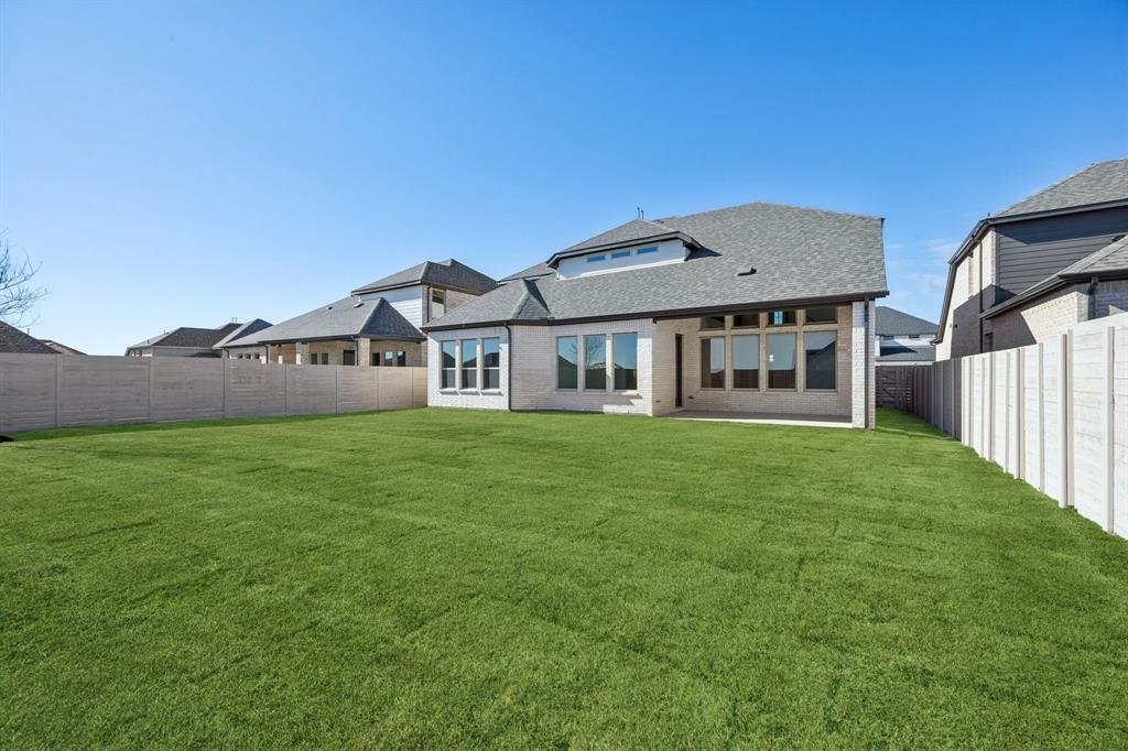 Painted Tree - Residential