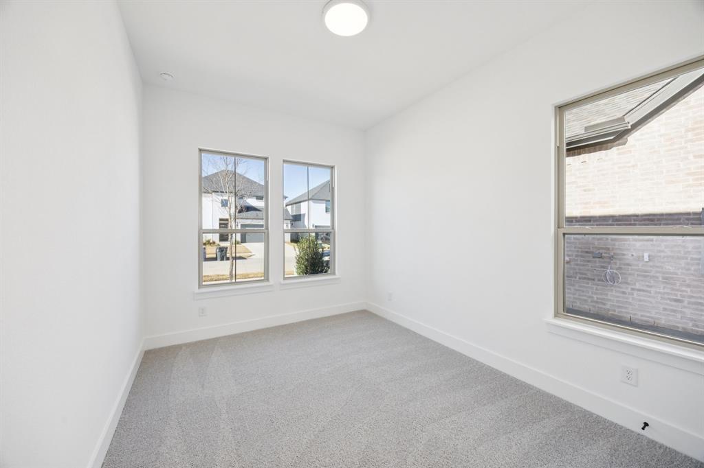 Painted Tree - Residential