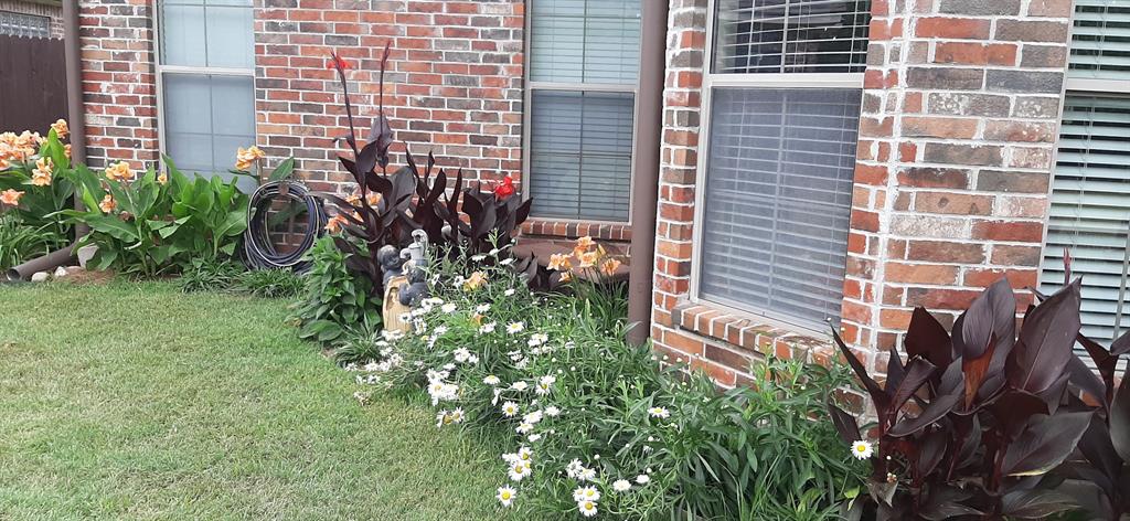 Tiburon Village - Residential