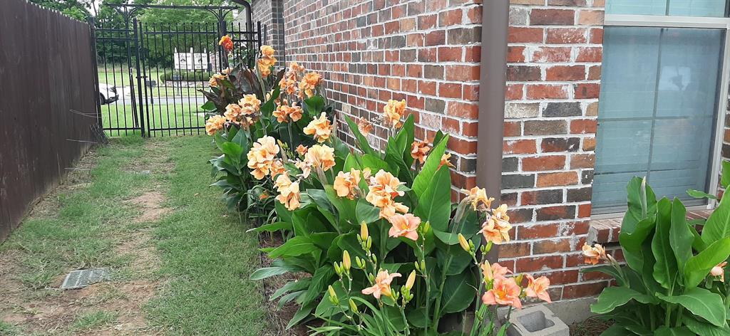 Tiburon Village - Residential