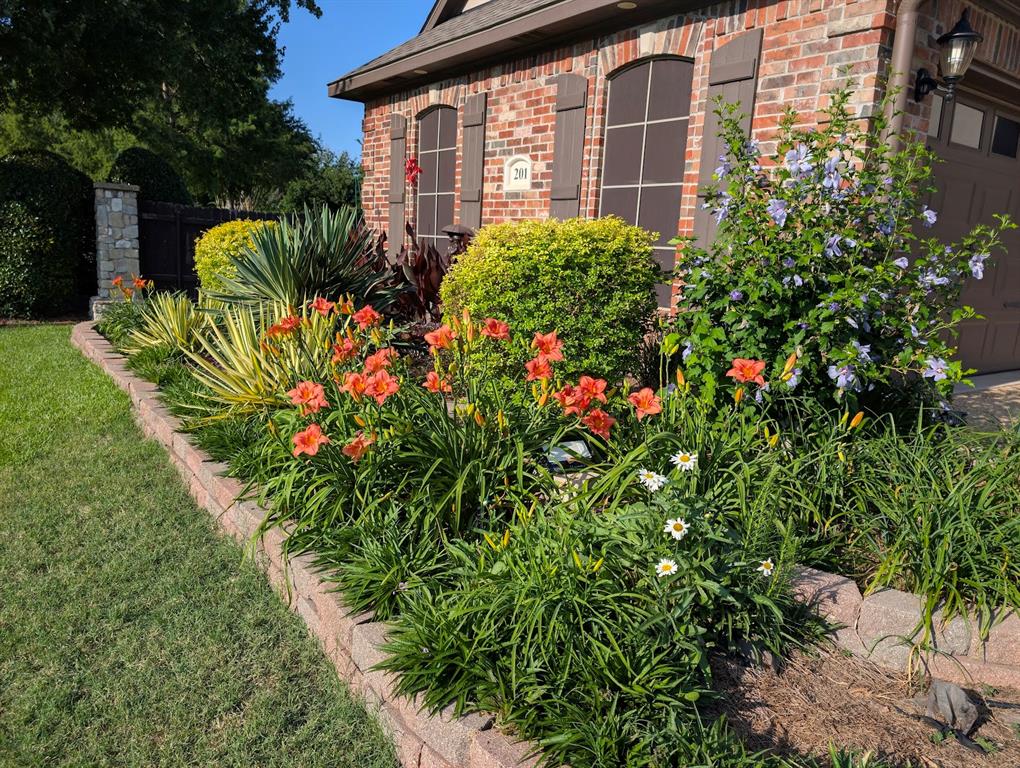 Tiburon Village - Residential