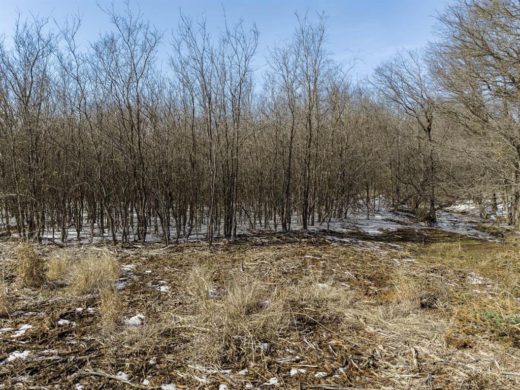 Hill Prairie Estates - Land