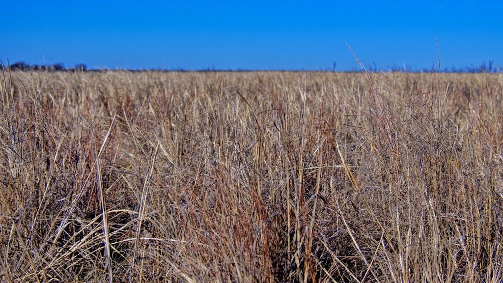 AB 353 MEP&P RR CO BYERS BROS SD BLK 7 BILL H - Farm