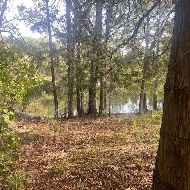 205 County Road 2880