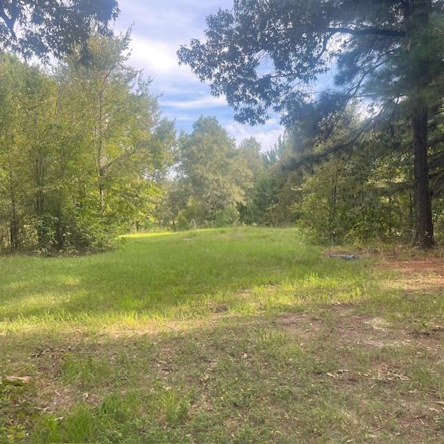 205 County Road 2880