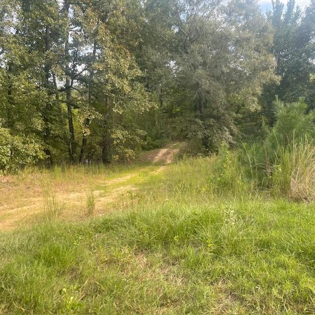 205 County Road 2880