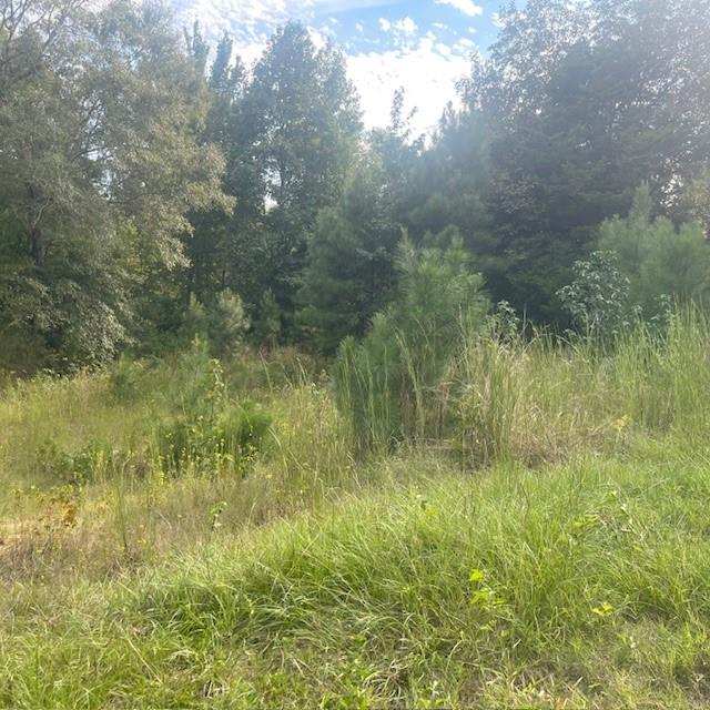 205 County Road 2880