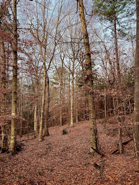 TBD (Lot 59) County Road 1060