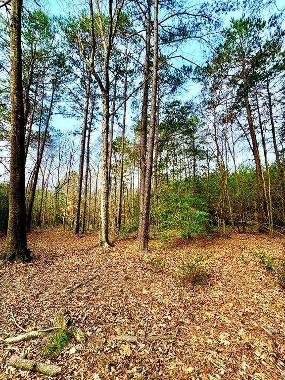 TBD (Lot 59) County Road 1060