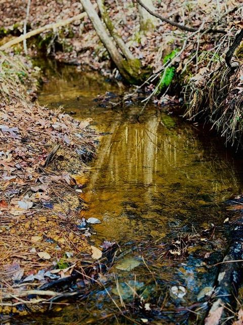 TBD (Lot 59) County Road 1060 Center TX 75935