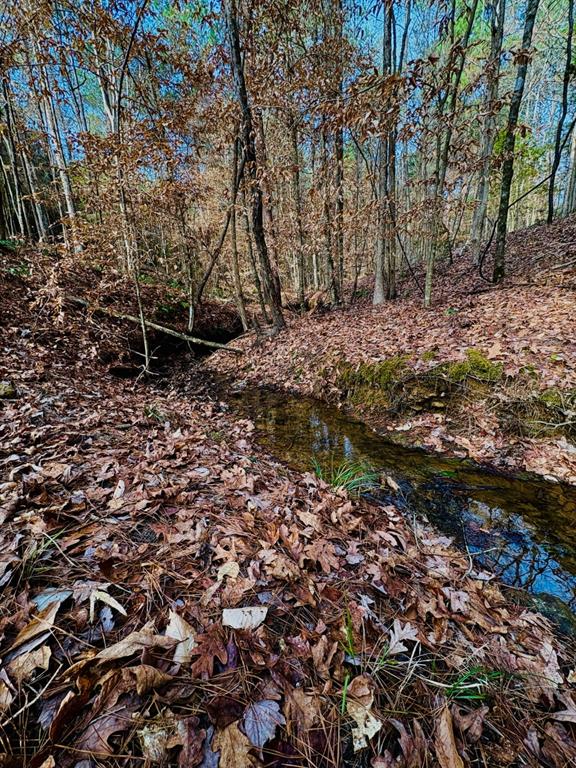 TBD (Lot 59) County Road 1060