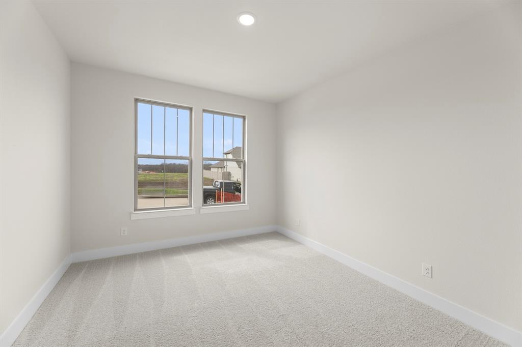 Painted Tree - Residential