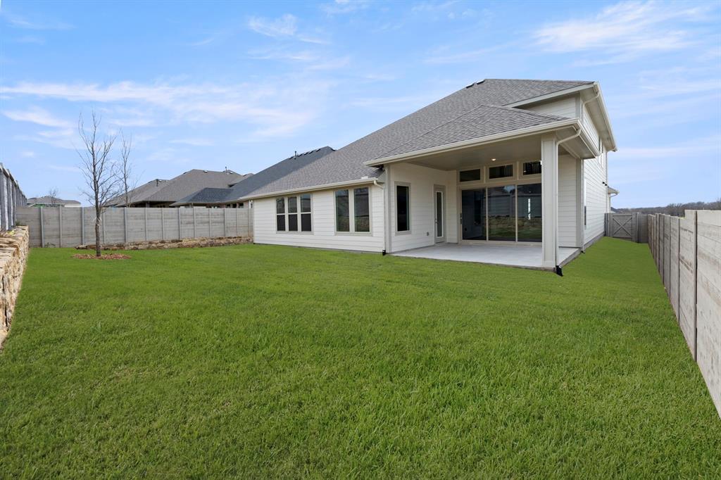 Painted Tree - Residential