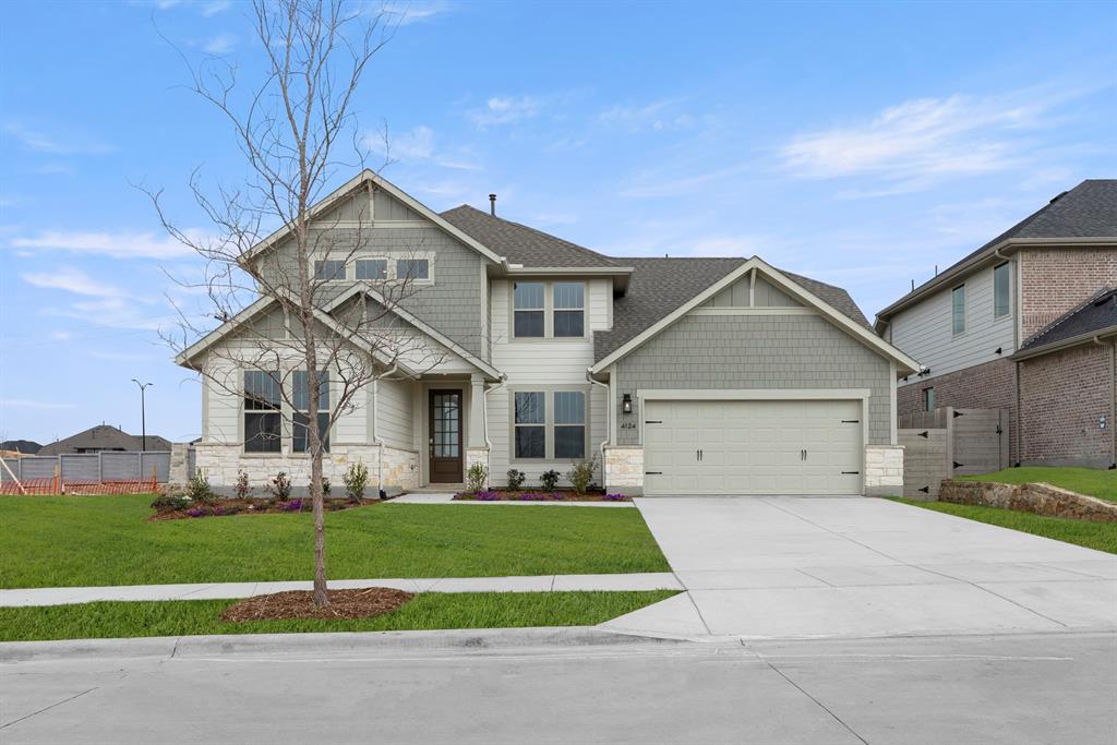 Painted Tree - Residential