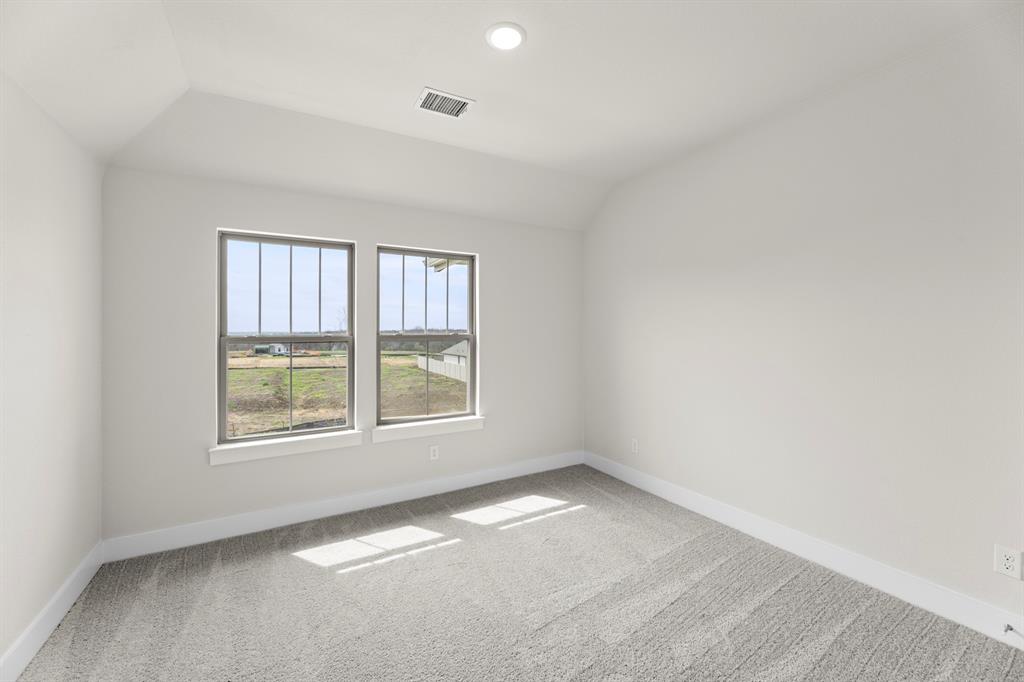 Painted Tree - Residential