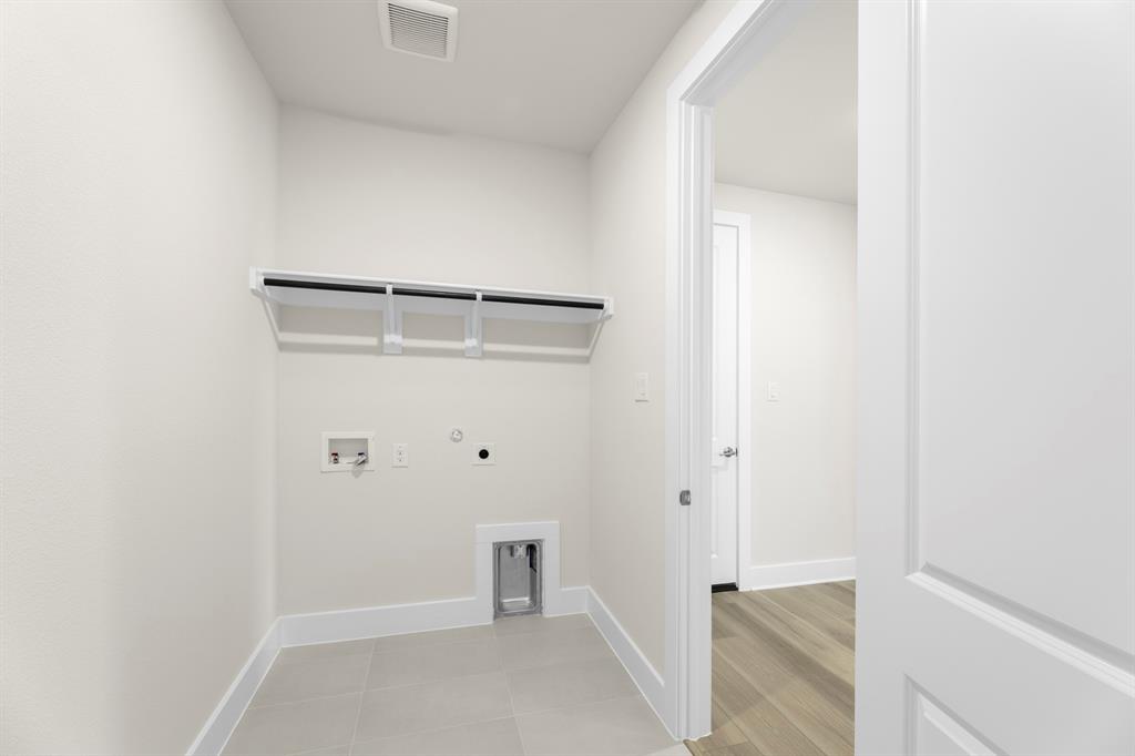 Painted Tree - Residential