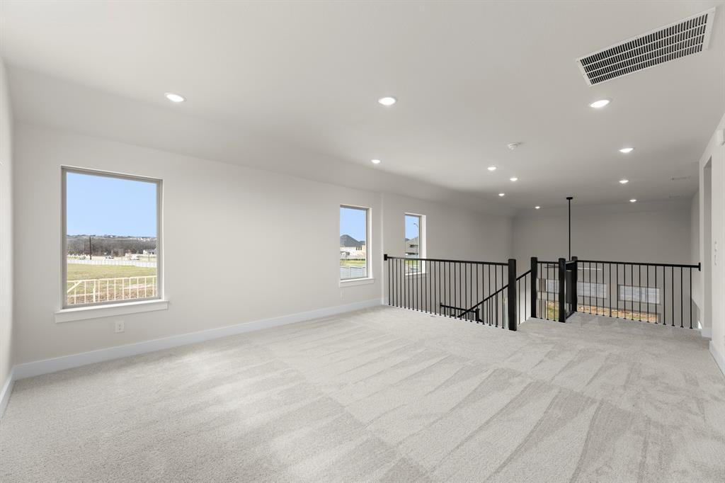 Painted Tree - Residential