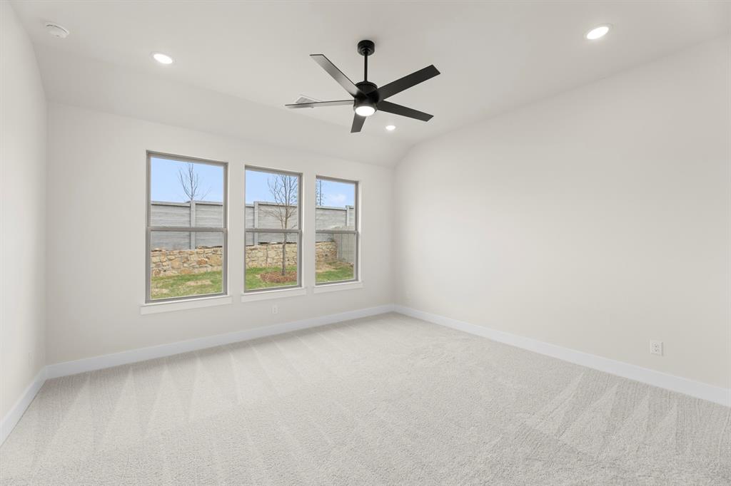 Painted Tree - Residential