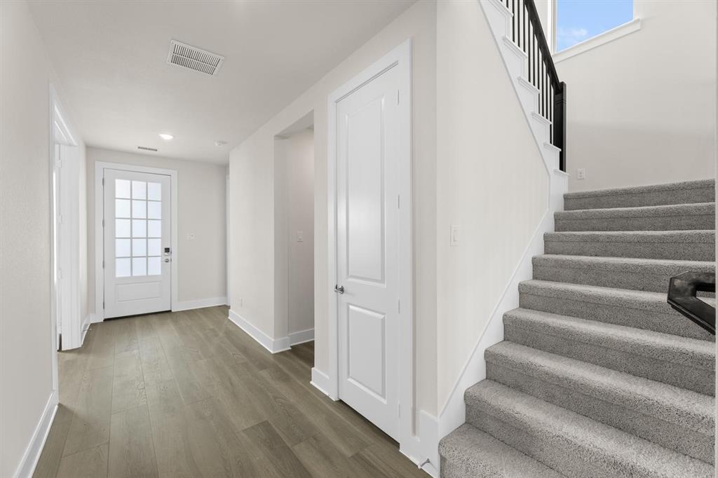 Painted Tree - Residential