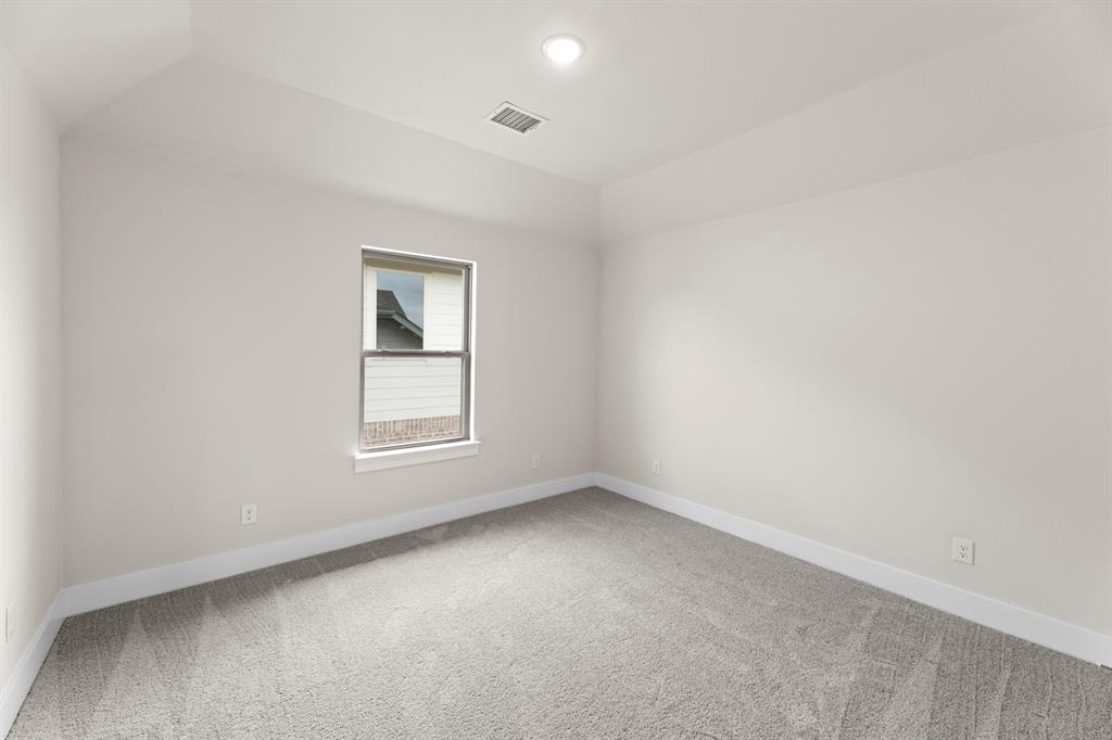 Painted Tree - Residential