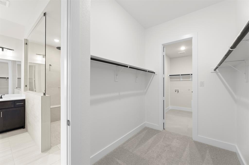 Painted Tree - Residential