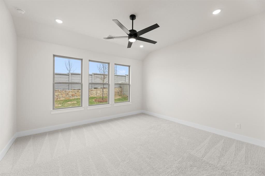 Painted Tree - Residential