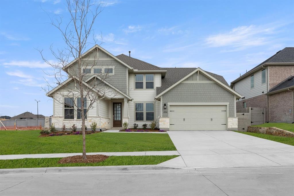 Painted Tree - Residential