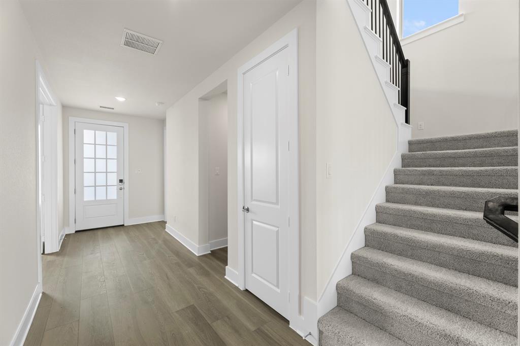 Painted Tree - Residential