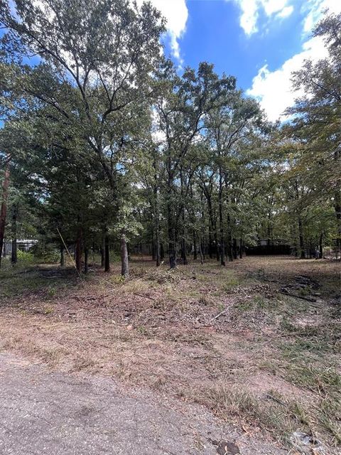 308 Navajo Trail West Tawakoni TX 75474