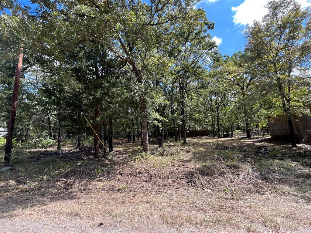 308 Navajo Trail