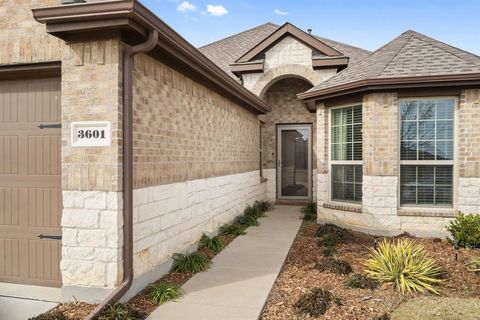 A home in Little Elm