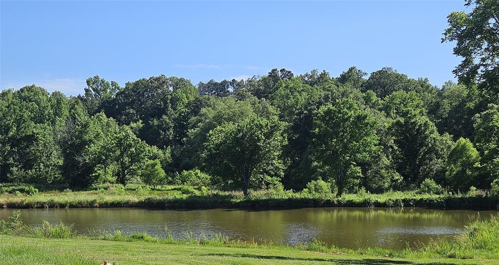 F Flores Surv A-9 - Residential Income