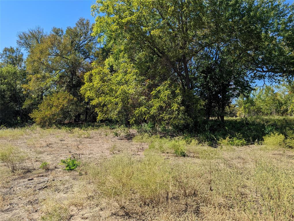 The Preserve On Ash - Land