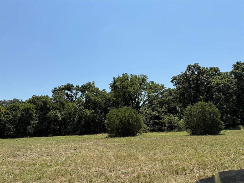 M OLDHAM - ABST 431 - Land