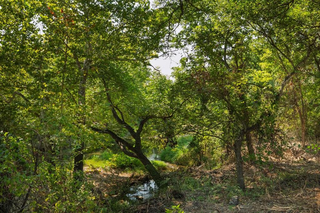 M OLDHAM - ABST 431 - Land