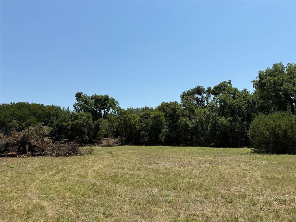 M OLDHAM - ABST 431 - Land