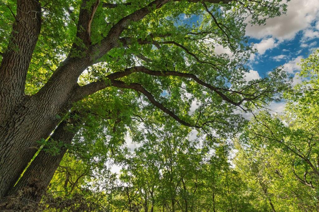 M OLDHAM - ABST 431 - Land