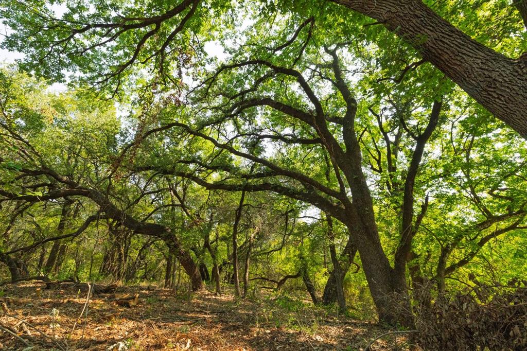 M OLDHAM - ABST 431 - Land