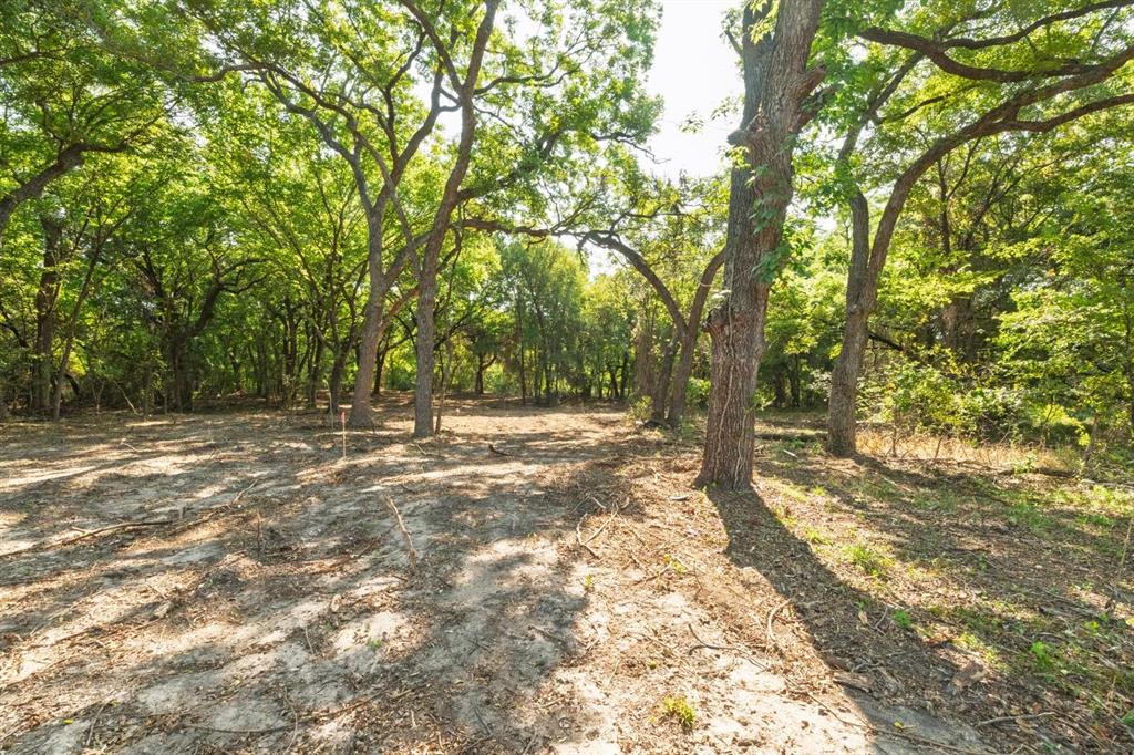 M OLDHAM - ABST 431 - Land