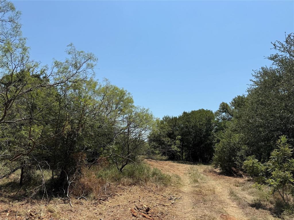 M OLDHAM - ABST 431 - Land