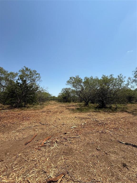 M OLDHAM - ABST 431 - Land