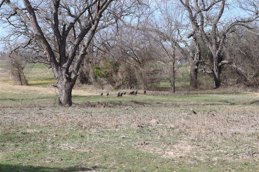 M OLDHAM - ABST 431 - Land