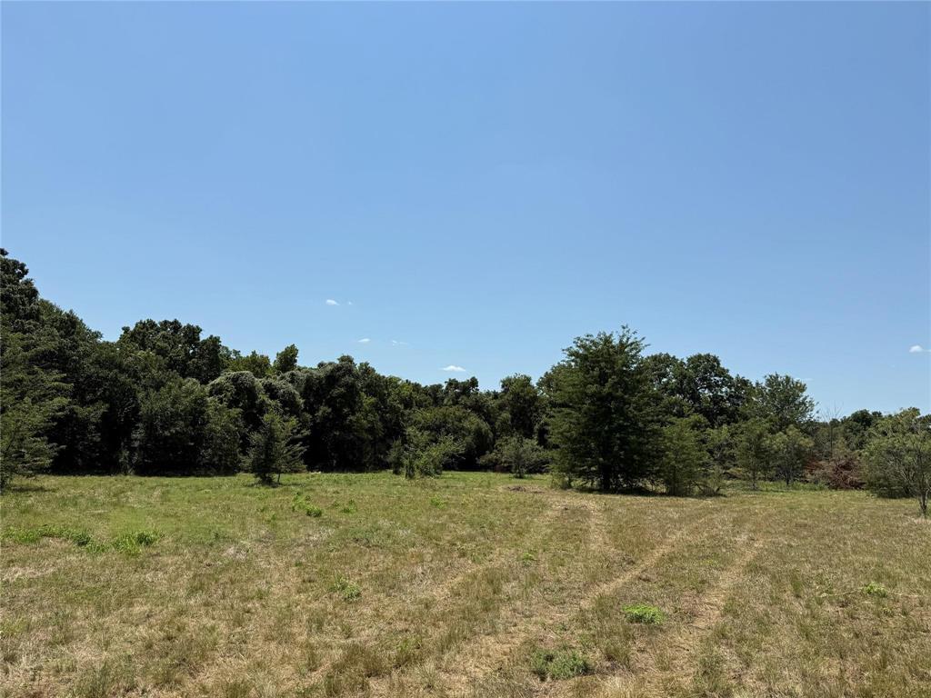 M OLDHAM - ABST 431 - Land