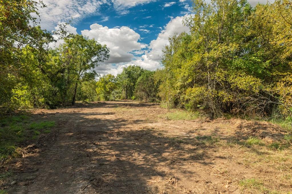 M OLDHAM - ABST 431 - Land