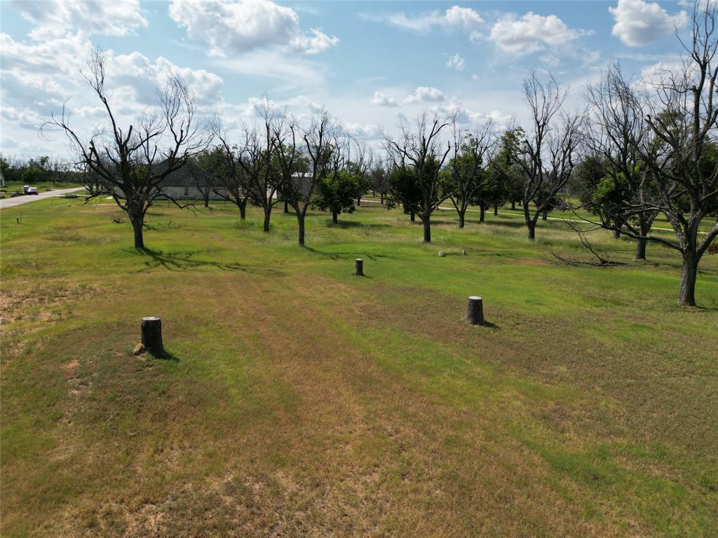Pecan Plantation - Land