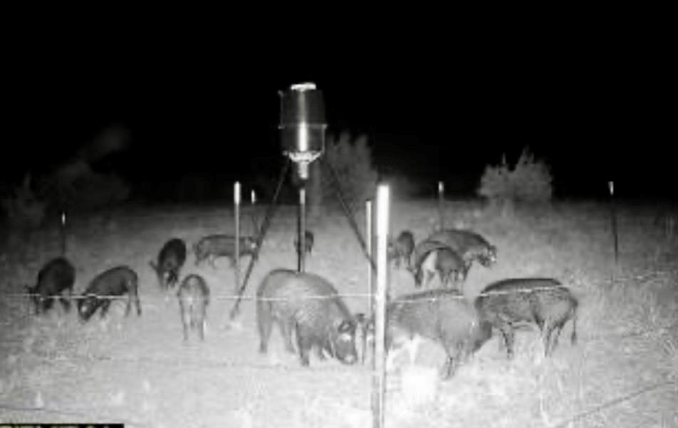 2592 County Road 610