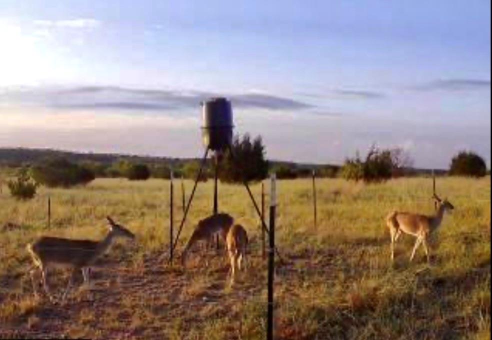 2592 County Road 610