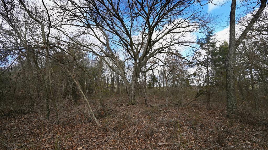 5633 Dixie School Rd