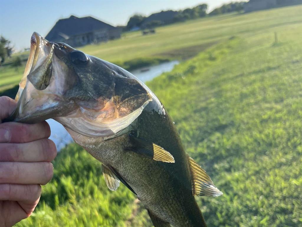 Hidden Lakes Ranch Sec 1 - Residential